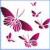 Butterfly80
