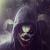 Jokeir