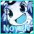 Noyan
