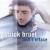 Tout s'efface Patrick Bruel