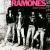 Do you wanna dance Ramones