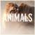 Animals Maroon 5