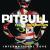 International Love Pitbull ft chris brown